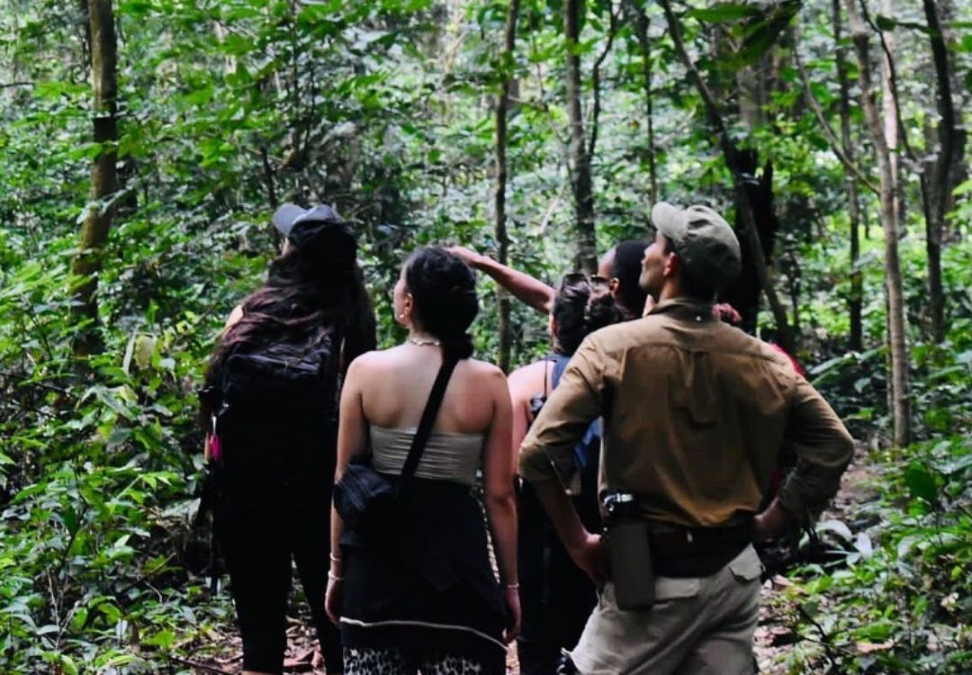 grand swahili adventures udzungwa
