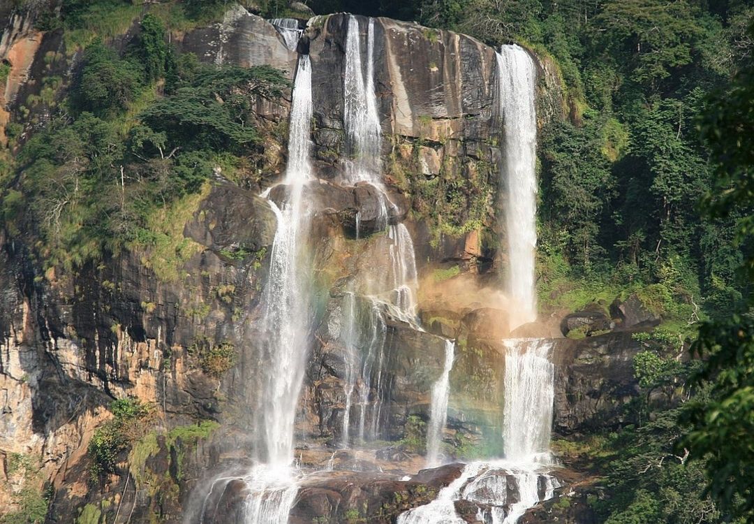 grand swahili adventures