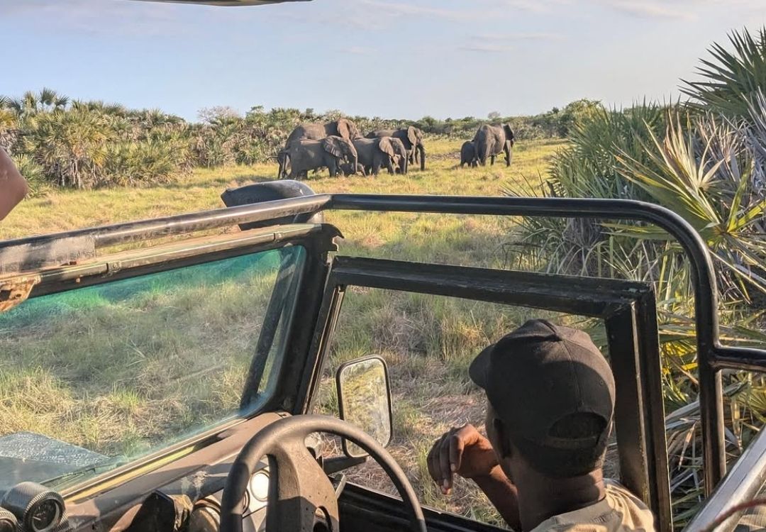 grand swahili adventures